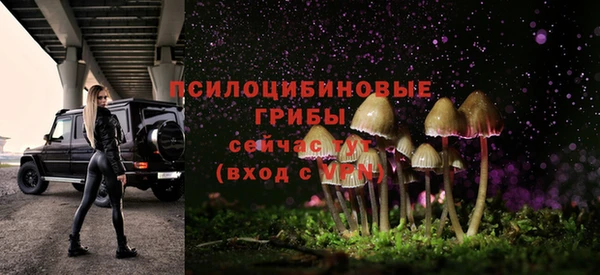 соль ск Беломорск