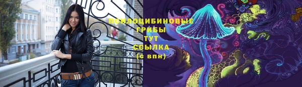 соль ск Беломорск