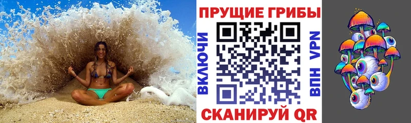 KRAKEN как зайти  Саяногорск  Галлюциногенные грибы Psilocybine cubensis 