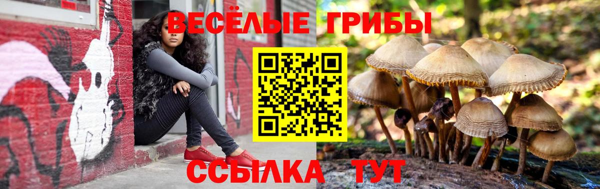 Галлюциногенные грибы Cubensis  Псилоцибиновые грибы ЛСД  Вход с VPN  Саяногорск 