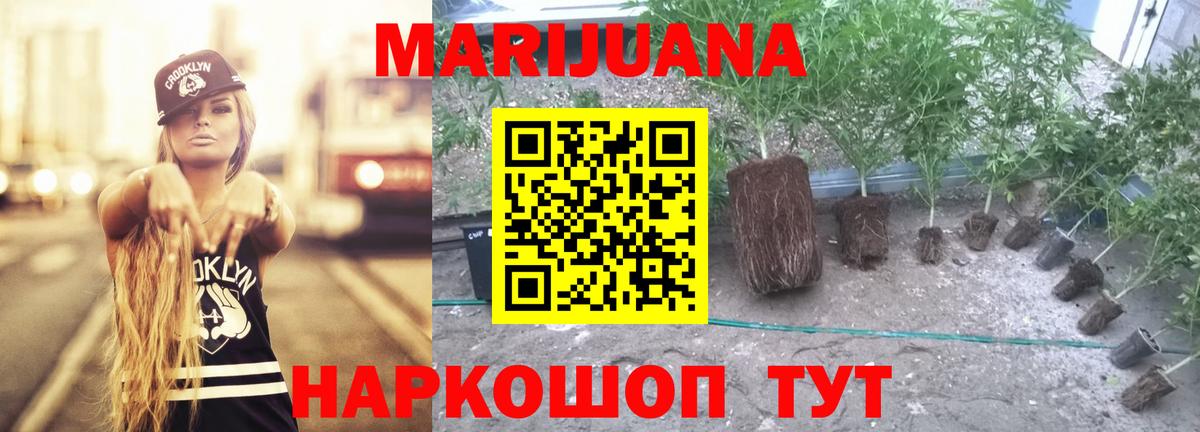 Бошки марихуана семена Саяногорск